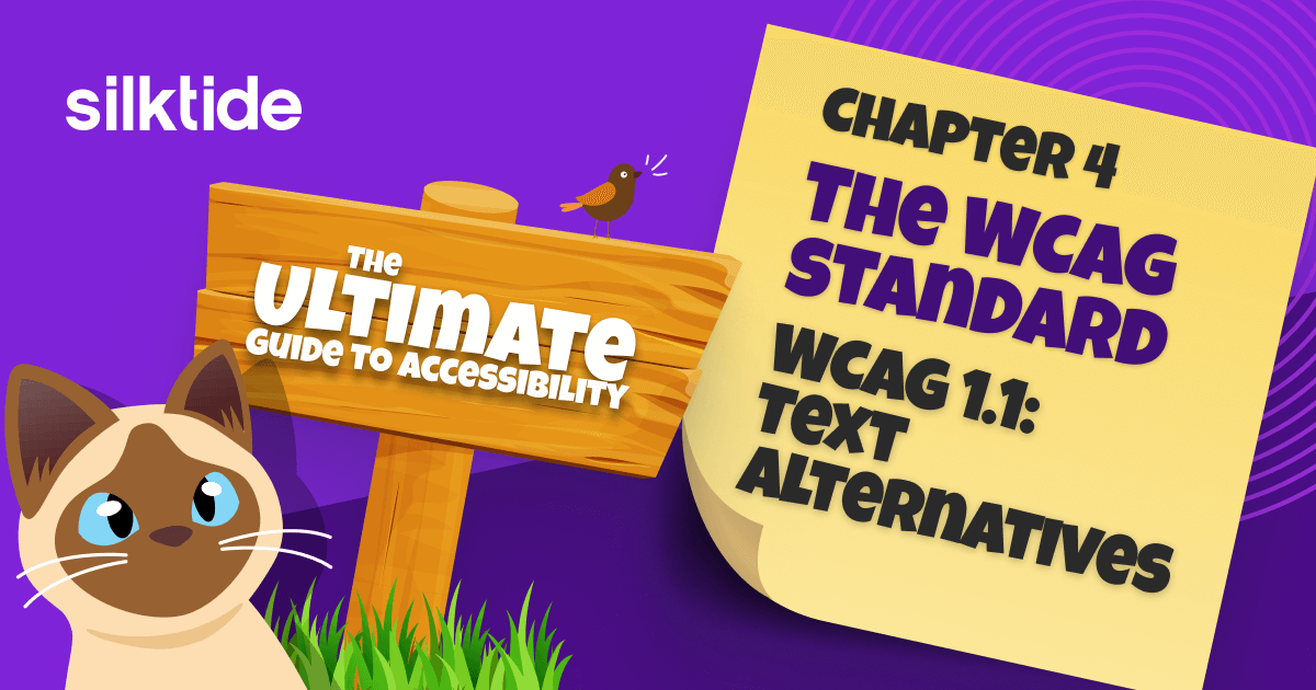 Wcag 1 1 Text Alternatives Silktide