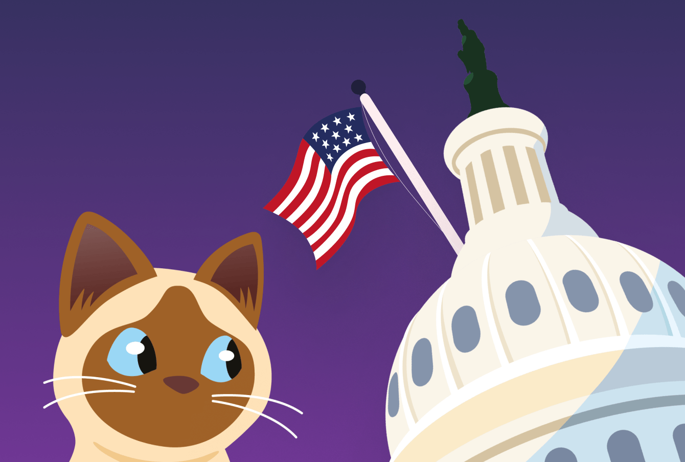 Taffy the cat is looking worried whilst giving side eye to the Capitol building and American Flag